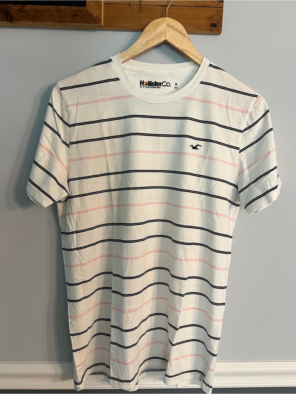 Hollister Pride Rainbow Logo Striped T-Shirt Medium White Pink Black Tee